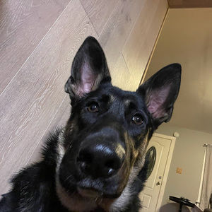 Meet your Posher, Dania